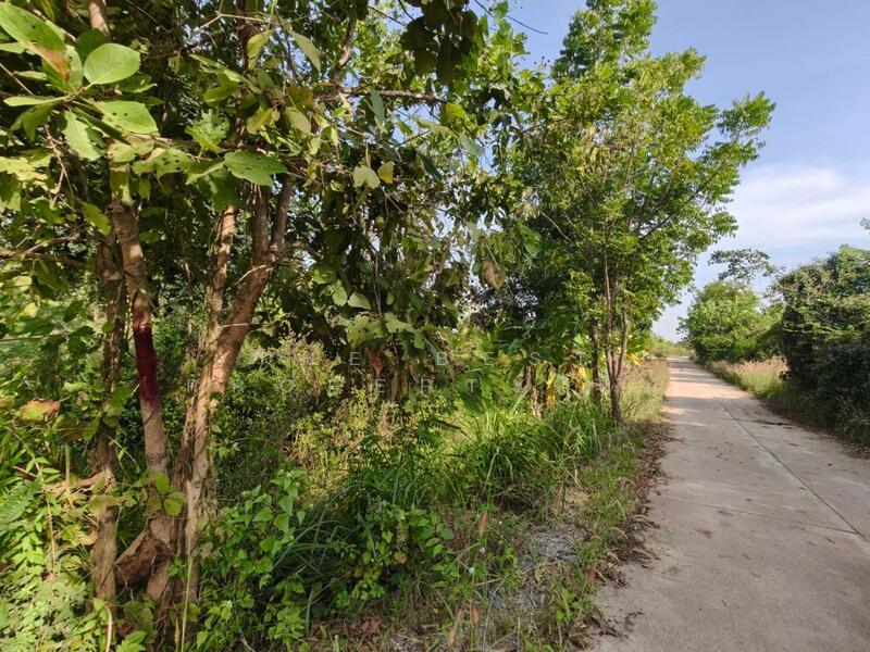 ขาย - ที่ดินหล่มสัก เพชรบูรณ์, เพชรบูรณ์