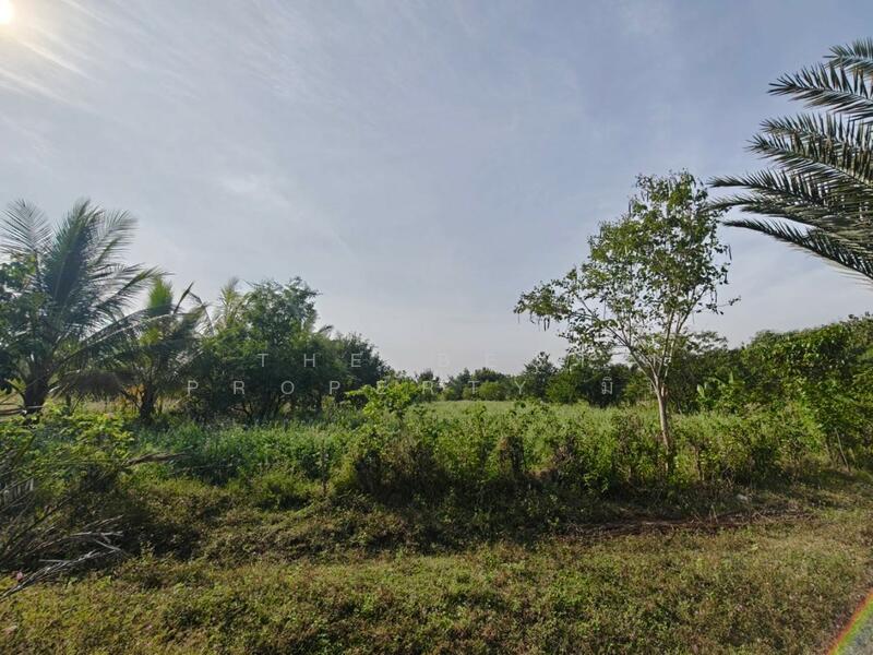 ขาย - ที่ดินหล่มสัก เพชรบูรณ์, เพชรบูรณ์