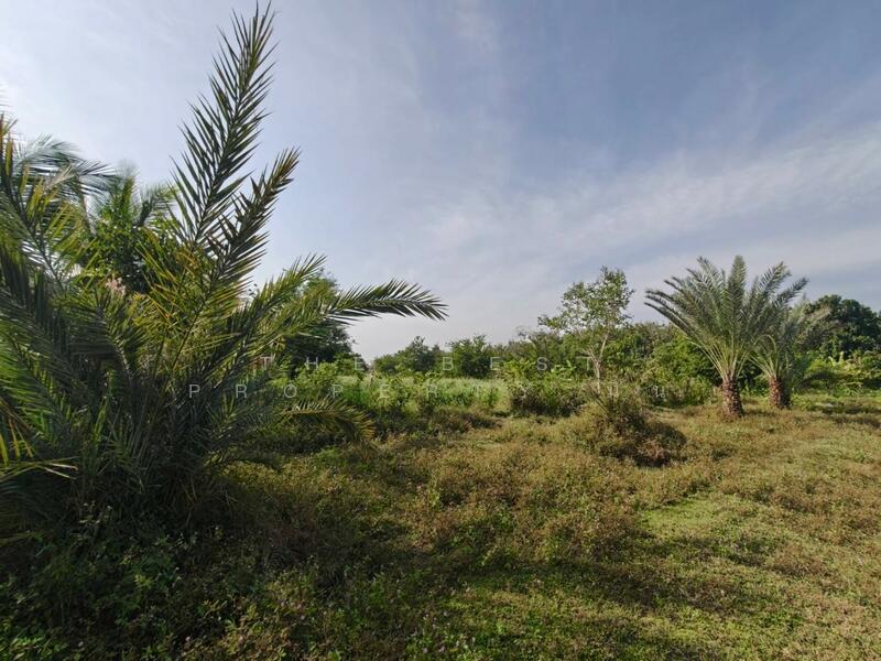 ขาย - ที่ดินหล่มสัก เพชรบูรณ์, เพชรบูรณ์