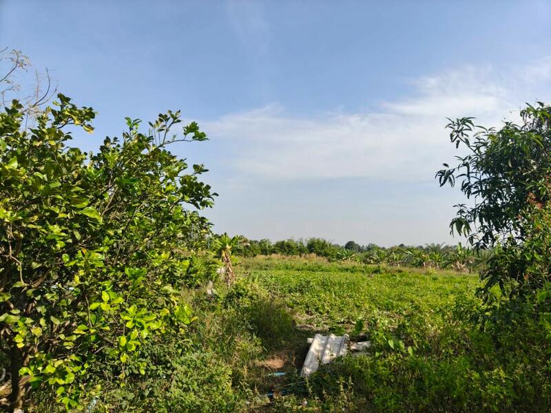 ขาย - ที่ดินหล่มสัก เพชรบูรณ์, เพชรบูรณ์