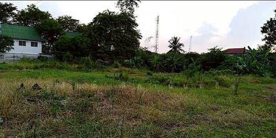 ขาย - ขายที่ดิน 401 ตร.ว. ซอยสวนผัก 48 ตลิ่งชัน กรุงเทพ, กรุงเทพ