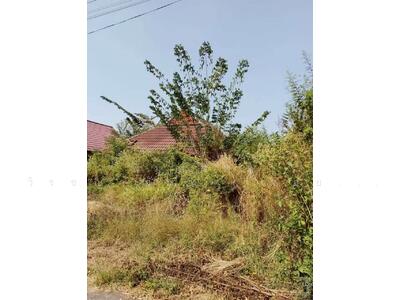 ขาย - องครักษ์, นครนายก