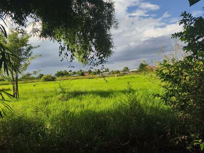 ขาย - ขายที่ดินพร้อมสิ่งปลูกสร้าง สันกำแพง เชียงใหม่, เชียงใหม่