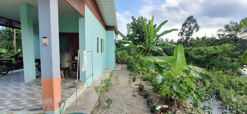 For Sale - บ้านเดี่ยวพร้อมที่ดินบางจาก นครศรีธรรมราช, Nakhon Si Thammarat