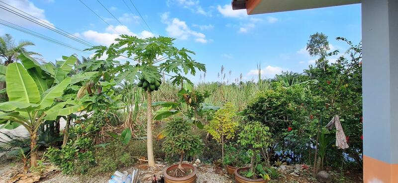 For Sale - บ้านเดี่ยวพร้อมที่ดินบางจาก นครศรีธรรมราช, Nakhon Si Thammarat