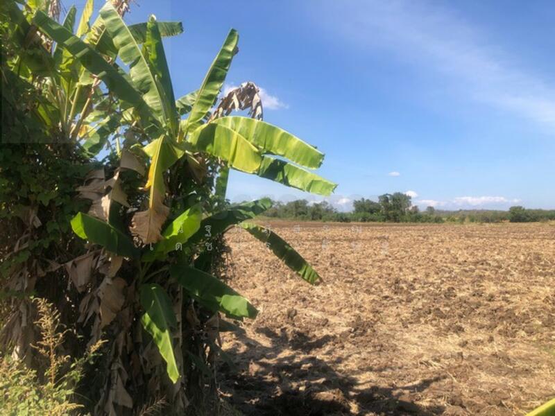 ขาย - The Address Siam-Ratchathewi : ดิ แอดเดรส สยาม-ราชเทวี, กรุงเทพ