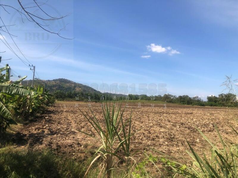 ขาย - The Address Siam-Ratchathewi : ดิ แอดเดรส สยาม-ราชเทวี, กรุงเทพ