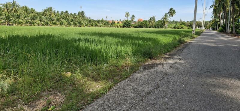 ขาย - ขายที่นาและสวนมะพร้าว 13 ไร่ ติดถนน 3088, ราชบุรี