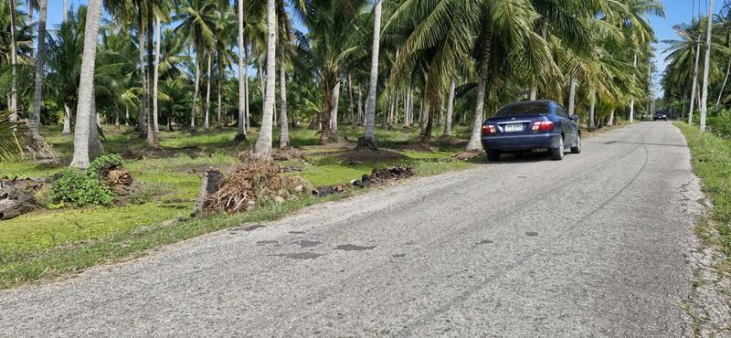 ขาย - ขายที่นาและสวนมะพร้าว 13 ไร่ ติดถนน 3088, ราชบุรี