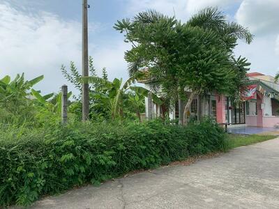 ขาย - ที่ดินบางพระ, ชลบุรี