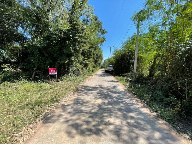 For Sale - ที่ดินโนนศิลา ขอนแก่น, Khon Kaen