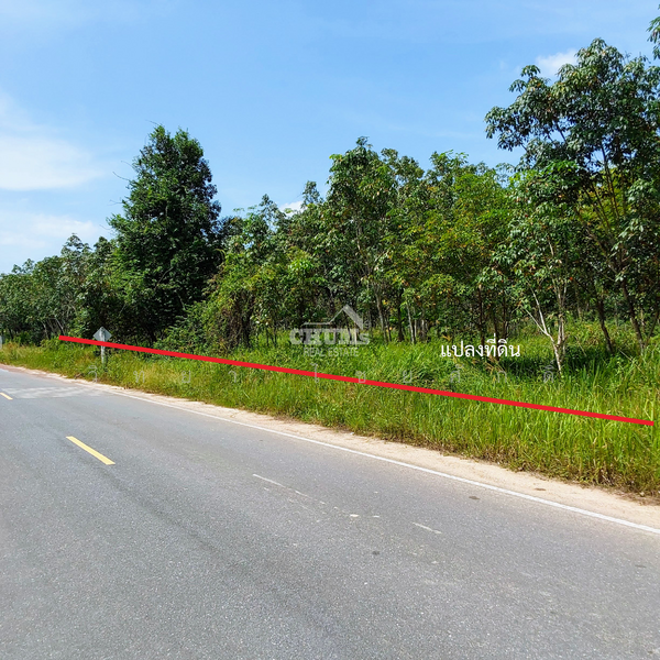 ขาย - ที่ดินตำบลคลองพน คลองท่อม กระบี่, กระบี่