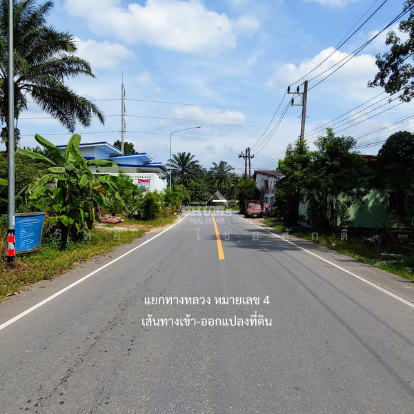 ขาย - ที่ดินตำบลคลองพน คลองท่อม กระบี่, กระบี่