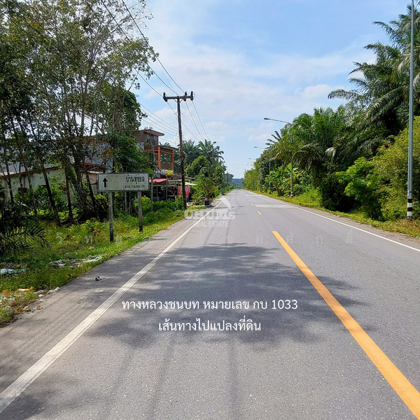 ขาย - ที่ดินตำบลคลองพน คลองท่อม กระบี่, กระบี่