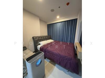 ขาย - Modiz Sukhumvit 50 : โมดิซ สุขุมวิท 50, กรุงเทพ