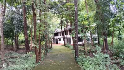 ขาย - ที่ดินเชียงใหม่ใกล้กาดฝรั่งม.ฟ้างาม, เชียงใหม่