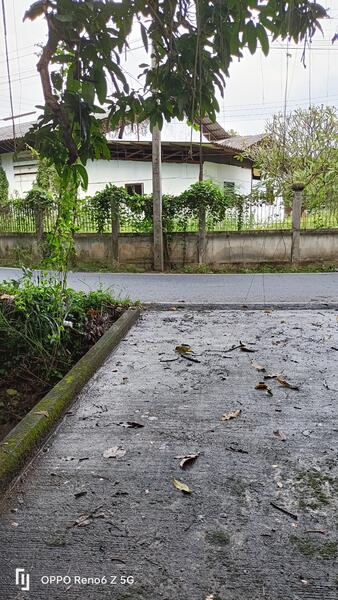 ที่ดินเชียงใหม่ใกล้กาดฝรั่งม.ฟ้างาม, เชียงใหม่, หางดง-ท่าขี้เหล็ก high way2001, บ้านแหวน, หางดง, เชียงใหม่, 8,148 ตร.ม., ที่ดิน ขาย, โดย แสงเดือน คงแนวดี, 500045014 - DDproperty.com