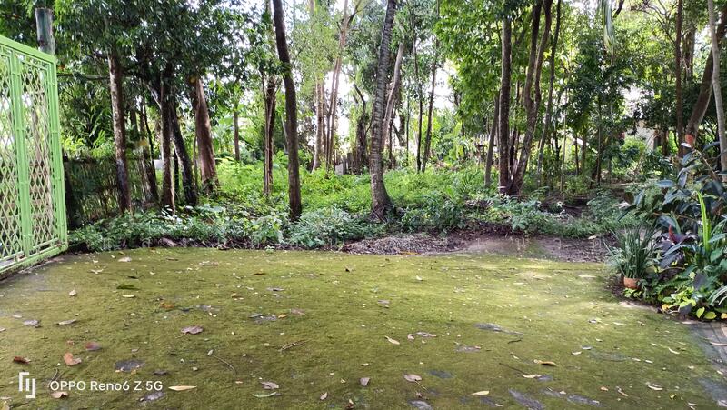 ที่ดินเชียงใหม่ใกล้กาดฝรั่งม.ฟ้างาม, เชียงใหม่, หางดง-ท่าขี้เหล็ก high way2001, บ้านแหวน, หางดง, เชียงใหม่, 8,148 ตร.ม., ที่ดิน ขาย, โดย แสงเดือน คงแนวดี, 500045014 - DDproperty.com