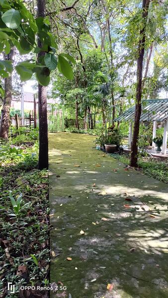 ที่ดินเชียงใหม่ใกล้กาดฝรั่งม.ฟ้างาม, เชียงใหม่, หางดง-ท่าขี้เหล็ก high way2001, บ้านแหวน, หางดง, เชียงใหม่, 8,148 ตร.ม., ที่ดิน ขาย, โดย แสงเดือน คงแนวดี, 500045014 - DDproperty.com