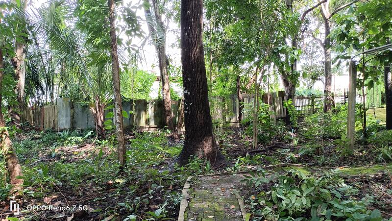 ที่ดินเชียงใหม่ใกล้กาดฝรั่งม.ฟ้างาม, เชียงใหม่, หางดง-ท่าขี้เหล็ก high way2001, บ้านแหวน, หางดง, เชียงใหม่, 8,148 ตร.ม., ที่ดิน ขาย, โดย แสงเดือน คงแนวดี, 500045014 - DDproperty.com