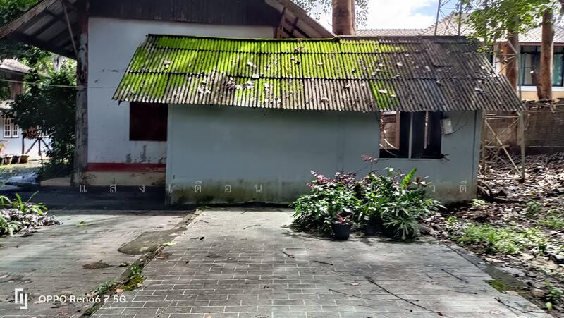 ที่ดินเชียงใหม่ใกล้กาดฝรั่งม.ฟ้างาม, เชียงใหม่, หางดง-ท่าขี้เหล็ก high way2001, บ้านแหวน, หางดง, เชียงใหม่, 8,148 ตร.ม., ที่ดิน ขาย, โดย แสงเดือน คงแนวดี, 500045014 - DDproperty.com