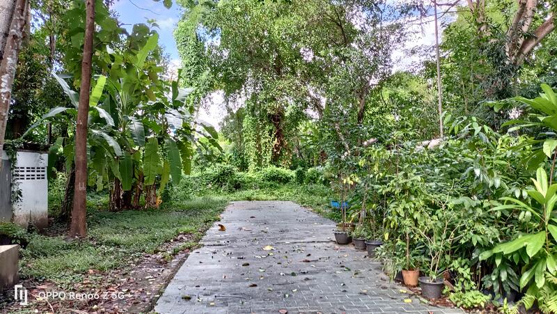 ที่ดินเชียงใหม่ใกล้กาดฝรั่งม.ฟ้างาม, เชียงใหม่, หางดง-ท่าขี้เหล็ก high way2001, บ้านแหวน, หางดง, เชียงใหม่, 8,148 ตร.ม., ที่ดิน ขาย, โดย แสงเดือน คงแนวดี, 500045014 - DDproperty.com