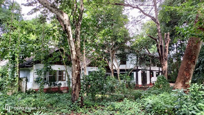 ที่ดินเชียงใหม่ใกล้กาดฝรั่งม.ฟ้างาม, เชียงใหม่, หางดง-ท่าขี้เหล็ก high way2001, บ้านแหวน, หางดง, เชียงใหม่, 8,148 ตร.ม., ที่ดิน ขาย, โดย แสงเดือน คงแนวดี, 500045014 - DDproperty.com