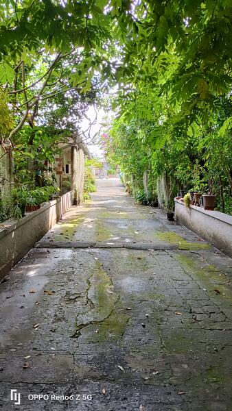 ที่ดินเชียงใหม่ใกล้กาดฝรั่งม.ฟ้างาม, เชียงใหม่, หางดง-ท่าขี้เหล็ก high way2001, บ้านแหวน, หางดง, เชียงใหม่, 8,148 ตร.ม., ที่ดิน ขาย, โดย แสงเดือน คงแนวดี, 500045014 - DDproperty.com