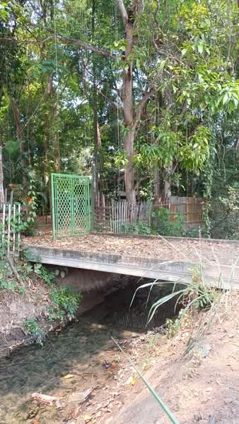 ที่ดินเชียงใหม่ใกล้กาดฝรั่งม.ฟ้างาม, เชียงใหม่, หางดง-ท่าขี้เหล็ก high way2001, บ้านแหวน, หางดง, เชียงใหม่, 8,148 ตร.ม., ที่ดิน ขาย, โดย แสงเดือน คงแนวดี, 500045014 - DDproperty.com