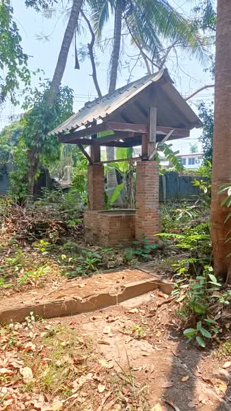 ที่ดินเชียงใหม่ใกล้กาดฝรั่งม.ฟ้างาม, เชียงใหม่, หางดง-ท่าขี้เหล็ก high way2001, บ้านแหวน, หางดง, เชียงใหม่, 8,148 ตร.ม., ที่ดิน ขาย, โดย แสงเดือน คงแนวดี, 500045014 - DDproperty.com