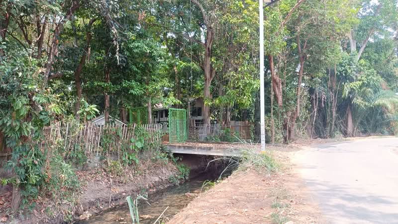Ban Thawai Chiangmai, Chiang Mai, หางดง-ท่าขี้เหล็ก high way2001, Ban Waen, Hang Dong, Chiang Mai, , 8,148 sqm, Land For Sale, by แสงเดือน คงแนวดี, 500045014 - DDproperty.com