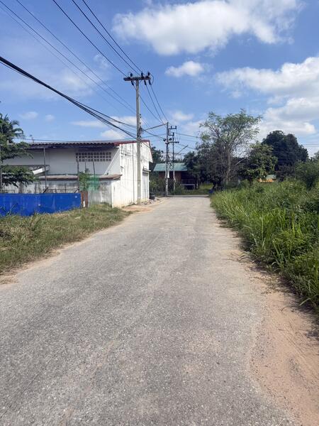 ขาย - บ้าน 100 ตร.วา 7 ห้องนอน ซอยวัดหนองตาคง หัวทะเล โคราช บ้านปลูกสร้างเอง, นครราชสีมา