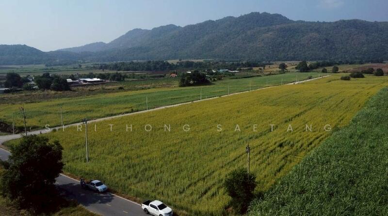 ขาย - ขายที่ดินแก่งคอย สระบุรี วิวเขา โฉนดครุฑแดงพร้อมโอน น้ำไม่ท่วม ที่ดินสูงกว่าระดับน้ำทะเล 1xx เมตร, สระบุรี