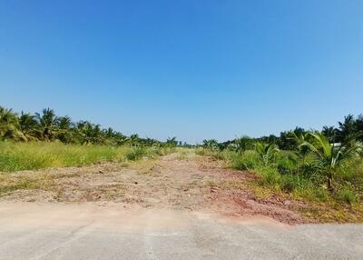 ขาย - ที่ดินอัมพวา สมุทรสงคราม, สมุทรสงคราม