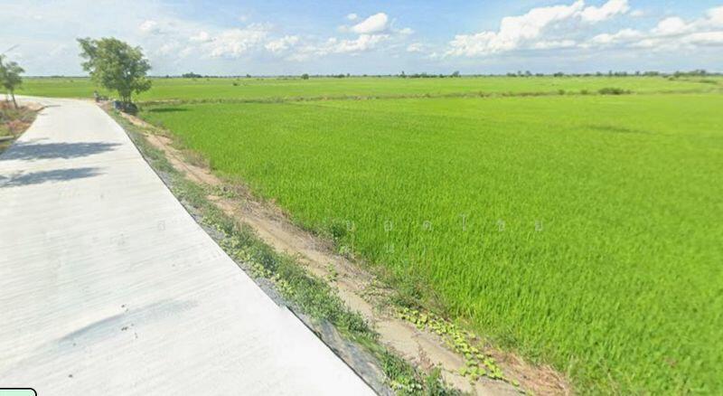 ขาย - ที่นา 2-3-64 ไร่ แปลงสวย ติดถนนปูน ใกล้ อบต.ลาดงา เสนา ตำบลลาดงา อำเภอเสนา จังหวัดพระนครศรีอยุธยา, พระนครศรีอยุธยา