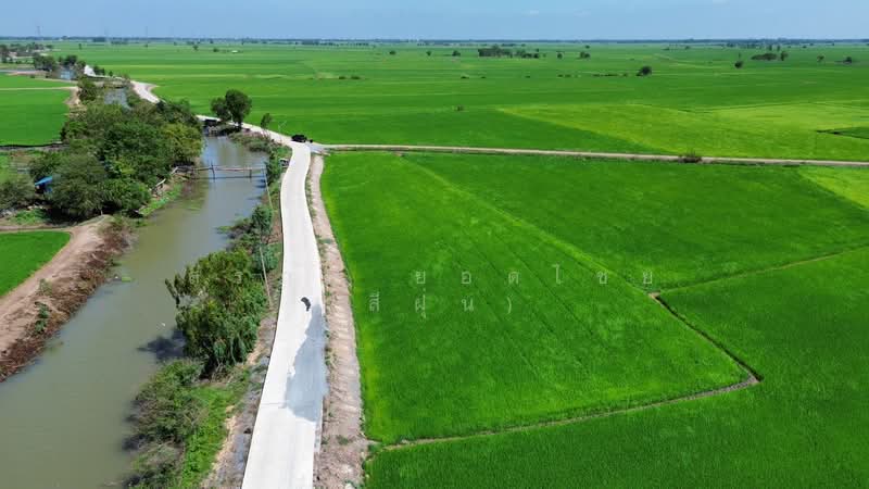 ขาย - ที่นา 2-3-64 ไร่ แปลงสวย ติดถนนปูน ใกล้ อบต.ลาดงา เสนา ตำบลลาดงา อำเภอเสนา จังหวัดพระนครศรีอยุธยา, พระนครศรีอยุธยา