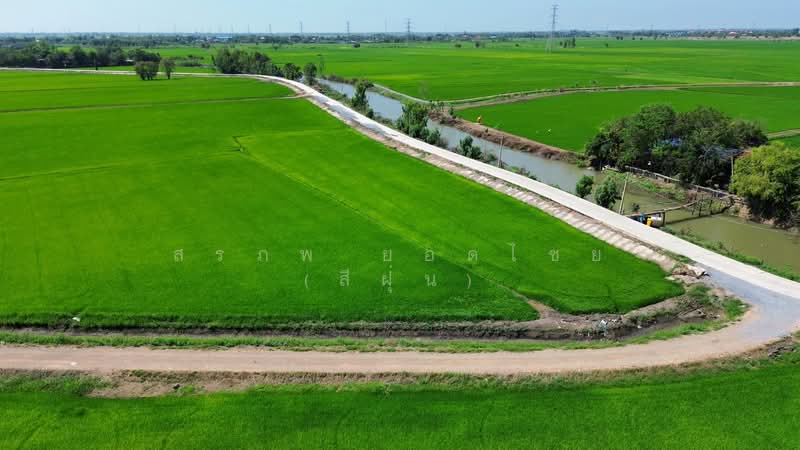 ขาย - ที่นา 2-3-64 ไร่ แปลงสวย ติดถนนปูน ใกล้ อบต.ลาดงา เสนา ตำบลลาดงา อำเภอเสนา จังหวัดพระนครศรีอยุธยา, พระนครศรีอยุธยา