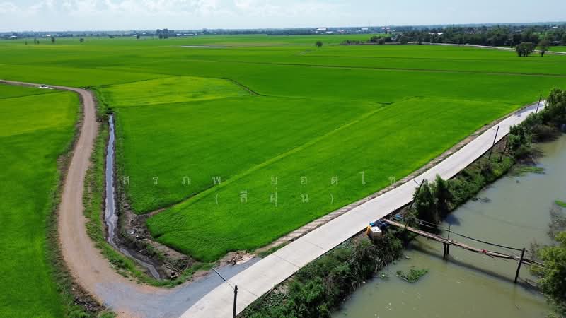 ที่นา 2-3-64 ไร่ แปลงสวย ติดถนนปูน ใกล้ อบต.ลาดงา เสนา ตำบลลาดงา อำเภอเสนา จังหวัดพระนครศรีอยุธยา, Phra Nakhon Si Ayutthaya, Lat Nga, Sena, Phra Nakhon Si Ayutthaya, , 4,656 sqm, Land For Sale, by สรภพ ยอดไชย (สีฝุ่น), 500045712 - DDproperty.com