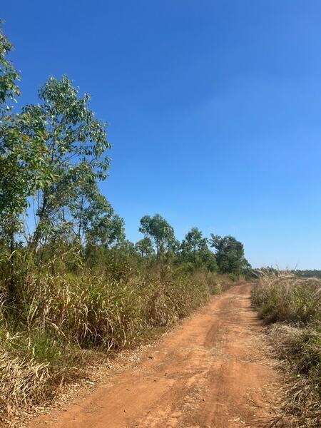 For Sale - ที่ดินกบินทร์บุรี ปราจีนบุรี, Prachin Buri