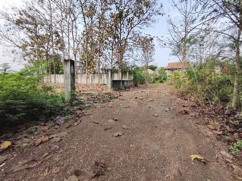 ขาย - ที่ดินแม่เหียะ เชียงใหม่ 1 ไร่ 1 งาน, เชียงใหม่