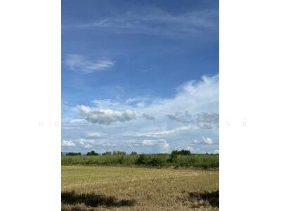 ขาย - ขายที่ดินเปล่า 28 ไร่ 1 งาน 39 ตร.ว. – ต.คอรุม อ.พิชัย จ.อุตรดิตถ์, อุตรดิตถ์