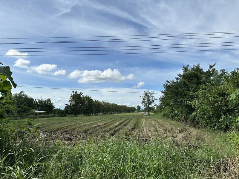 ขาย - ขายที่ดินเปล่า 28 ไร่ 1 งาน 39 ตร.ว. – ต.คอรุม อ.พิชัย จ.อุตรดิตถ์, อุตรดิตถ์