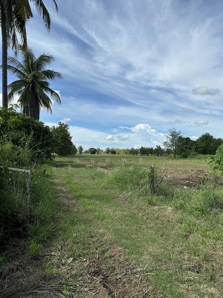 ขาย - ขายที่ดินเปล่า 28 ไร่ 1 งาน 39 ตร.ว. – ต.คอรุม อ.พิชัย จ.อุตรดิตถ์, อุตรดิตถ์