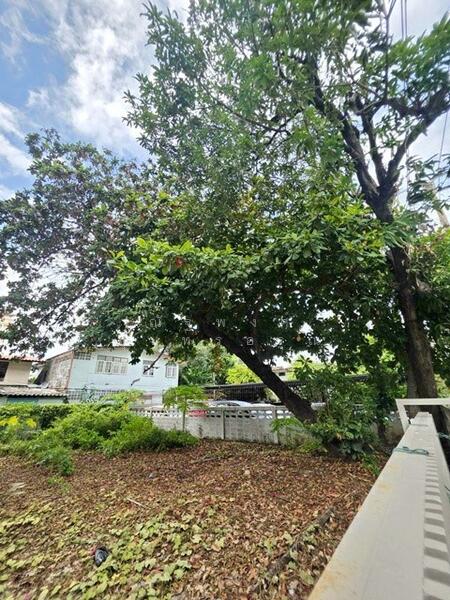 ให้เช่า - ไม่พบโครงการ, กรุงเทพ