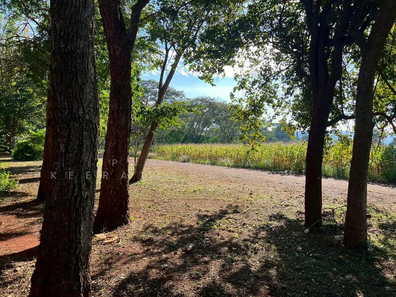 ให้เช่า - บ้านเดี่ยวบรรยากาศร่มรื่นเขาใหญ่ ตำบลหมูสี, นครราชสีมา