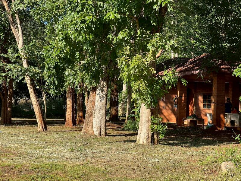 ให้เช่า - บ้านเดี่ยวบรรยากาศร่มรื่นเขาใหญ่ ตำบลหมูสี, นครราชสีมา