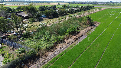 ขาย - ขายที่ดิน 163 ตร.ว ลาดหลุมแก้ว ปทุมธานี ( คลองเจ้าเมือง 6 ), ปทุมธานี