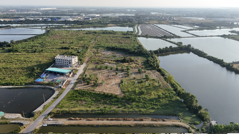 ที่ดินถมแล้ว 7 ไร่ 1งาน 43ตารางวา, Samut Sakhon, Khok Kham, Muang Samut Sakhon, Samut Sakhon, , 11,772 sqm, Land For Sale, by Thanapatra Nitisahakul, 500047817 - DDproperty.com