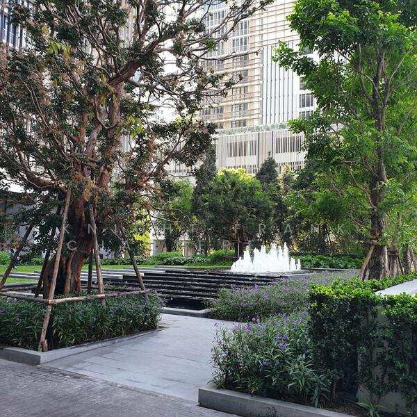 Park Origin Phrom Phong (Park 24), กรุงเทพ, 68 Soi Sukhumvit 24, คลองตัน, คลองเตย, กรุงเทพ, 29 ตร.ม., คอนโด ขาย, โดย Knight Frank Chartered (Thailand) Co.,Ltd, 500048075 - DDproperty.com
