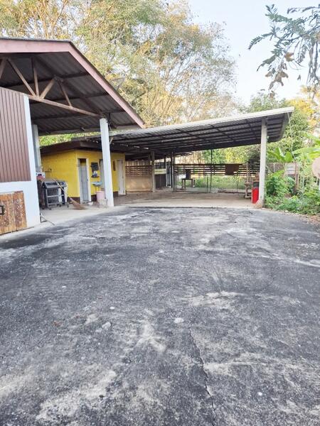 For Sale - บ้านเดี่ยวพร้อมที่ดินเทิง เชียงราย, Chiang Rai